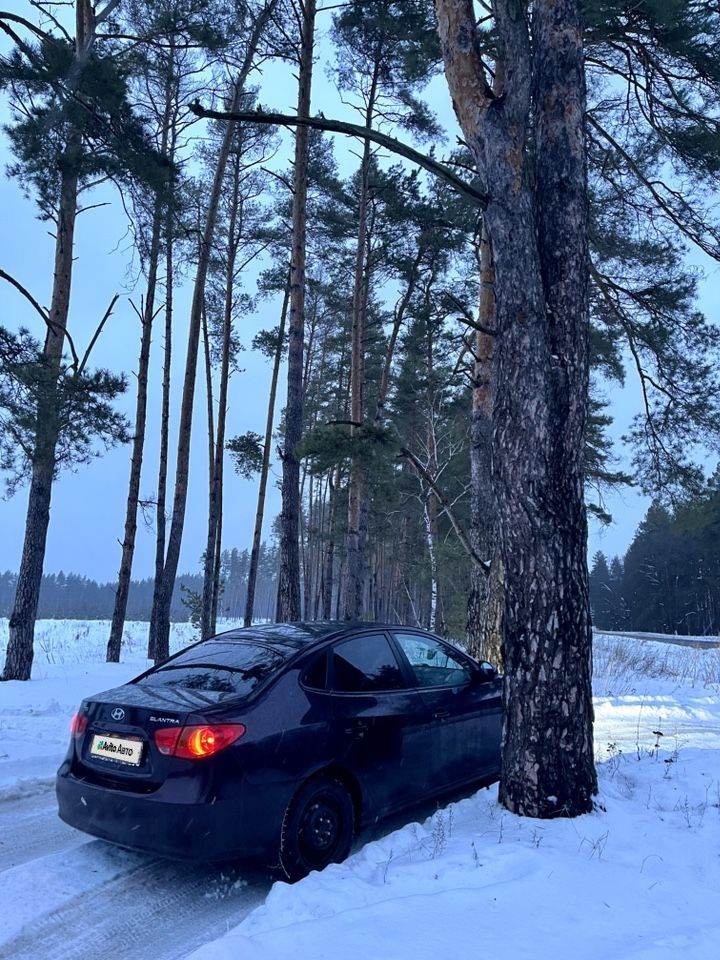Hyundai Elantra: фото владельца