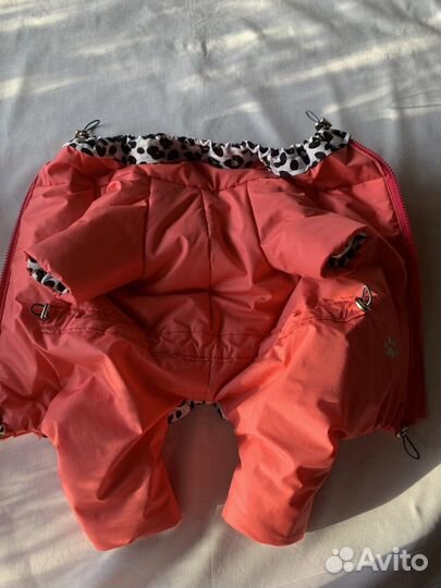 Одежда для маленьких собак