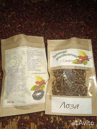 Лимонник дальневосточный