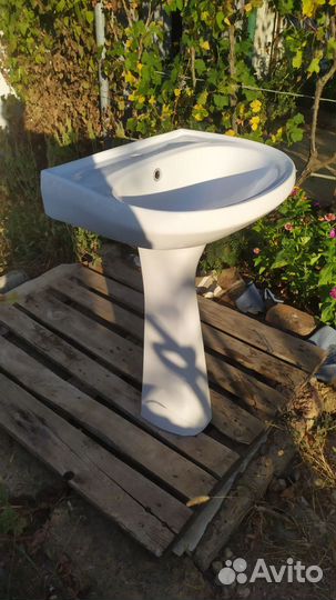 Раковина тюльпан