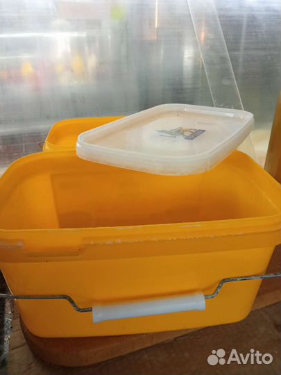 Контейнер,пластик пищевой