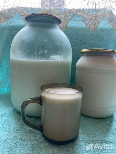 Молоко камерунских коз