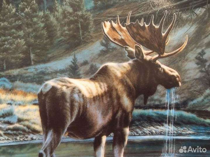 Декоративная тарелка Дикий и Свободный