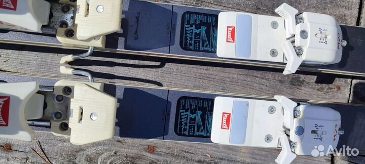 Горные лыжи