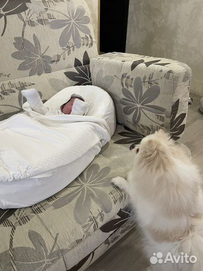 Кокон red castle cocoonababy для новорожденных