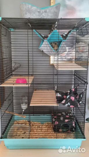 Новые большие клетки для шиншилл, крыс, хорьков