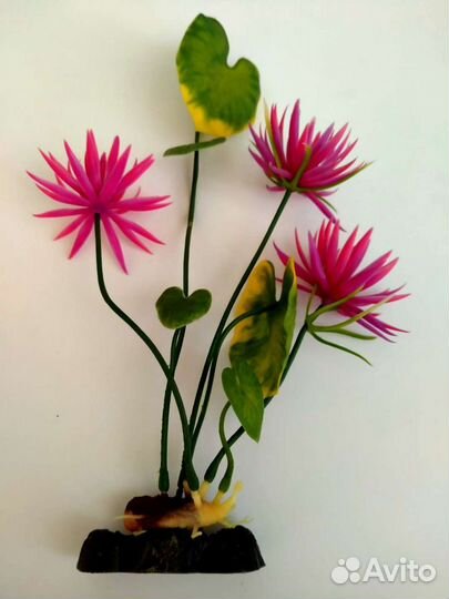 Набор для аквариумиста