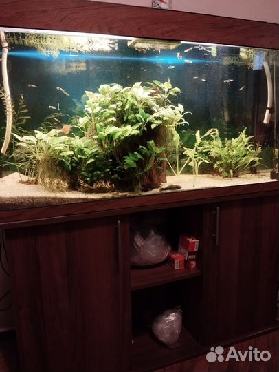 Аквариум с тумбой 300 литров