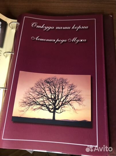 Семейная летопись