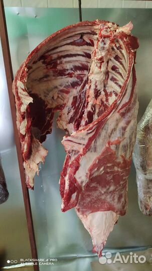 Говядина 550, баранина 650,сыр брынза, молоко