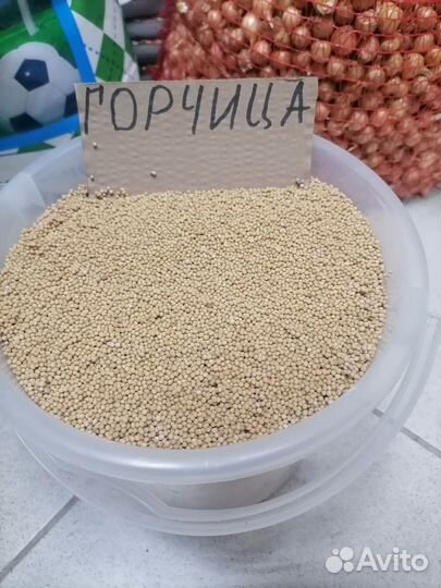 Горчица белая сидерат