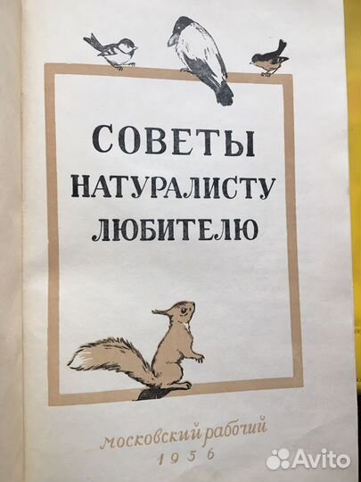 Антикварная книга Советы натураслисту 1956