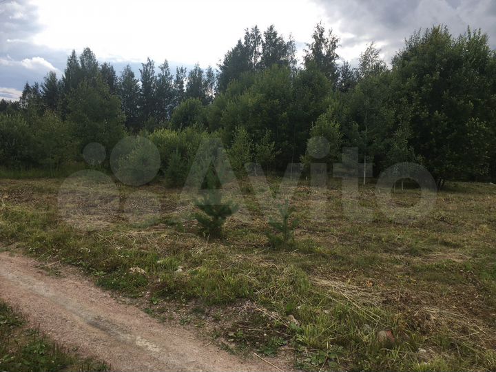 Участок 10 сот. (СНТ, ДНП)