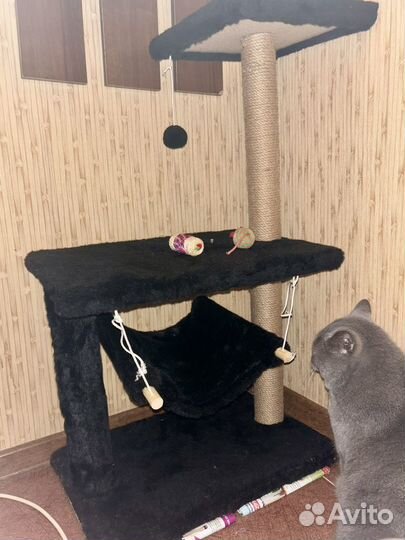 Домик для кошки мягкий