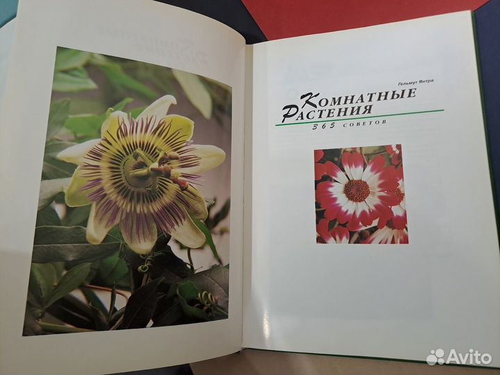 Комнатные Растения 365 Советов Гельмут Янтра Внешс