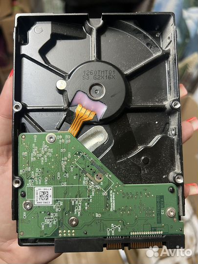 Жесткий диск Western Digital WD Blue