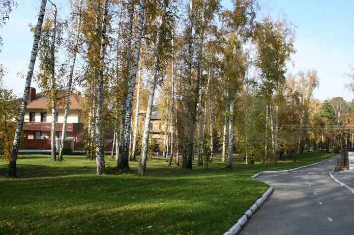 Участок 10 сот. (ИЖС)