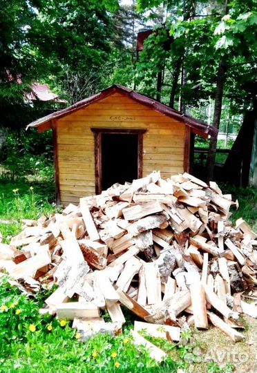Дрова в СПб