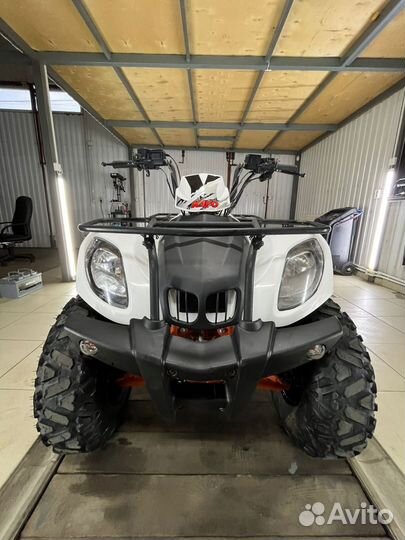 Kayo Bull 200