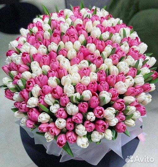 Тюльпаны букет, тюльпаны, тюльпаны голландия