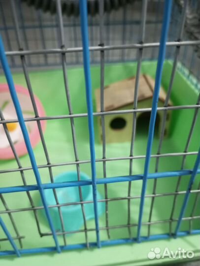 Клетка для грызунов, попугая