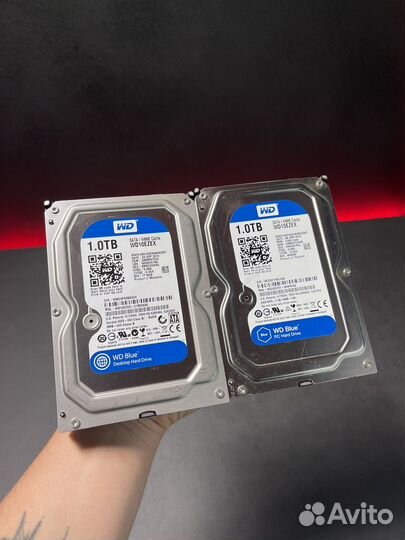Жесткие диски WD Blue 3Tb