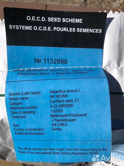 Семена подсолнечник сингента