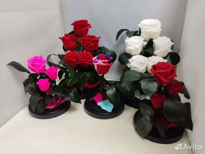 Цветы оптом / Роза в колбе