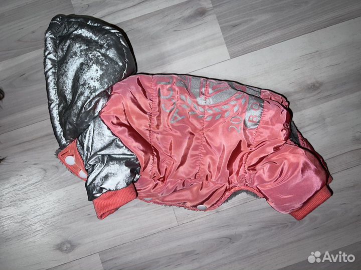 Одежда для собак мелких пород