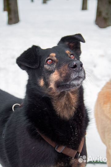 Берта ждет тебя