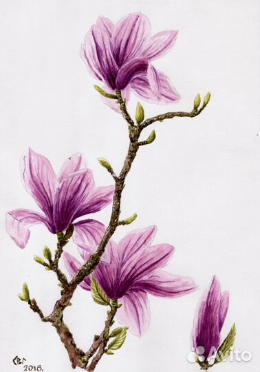 Цветочные картины акварелью