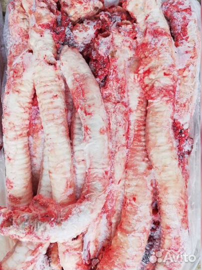 Кости для собак, мясо для собак