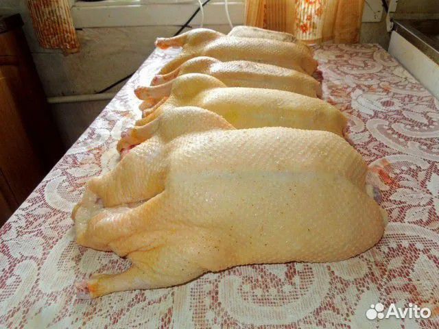 Гуси резанные