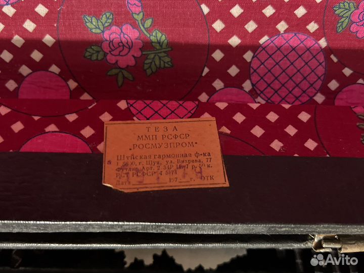 Аккордеон юность 2