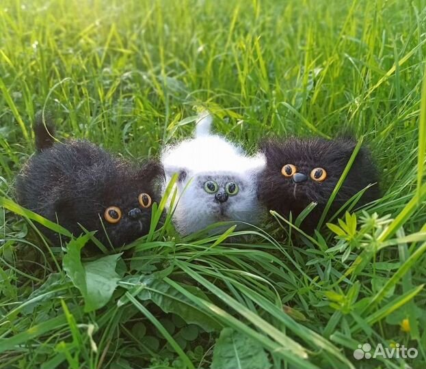 Вязаный, пушистый котенок