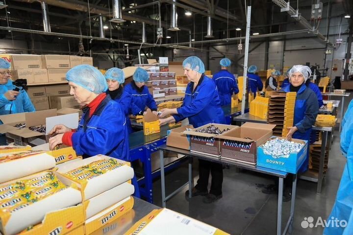 Упаковщик шоколадных наборов вахтой Санкт Петербур