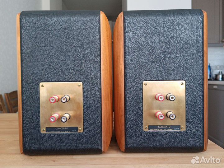 Sonus faber concerto