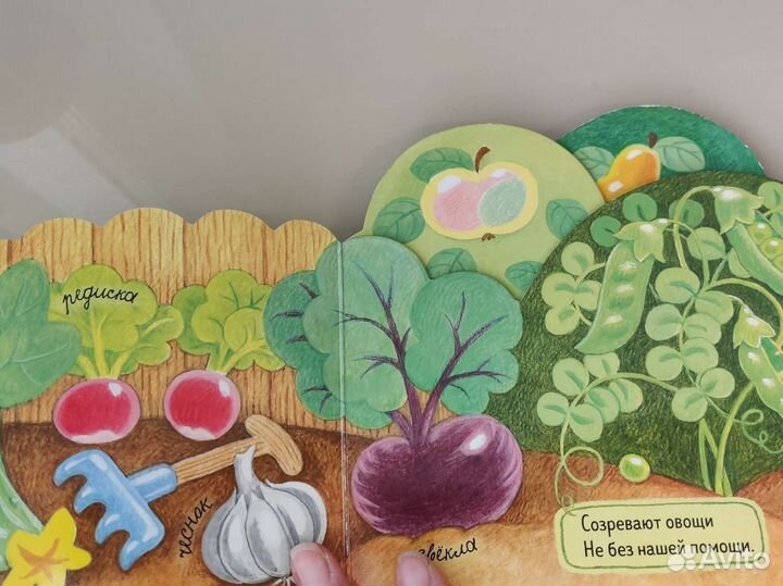 Книга огород