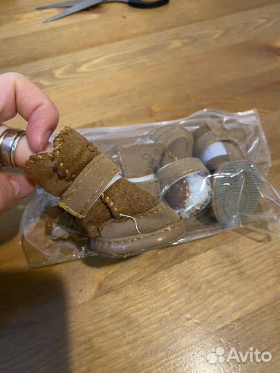 Обувь для собаки, ботинки