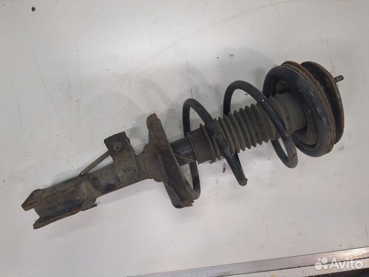 Амортизатор подвески Suzuki Liana, 2004