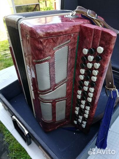 Баян школьник