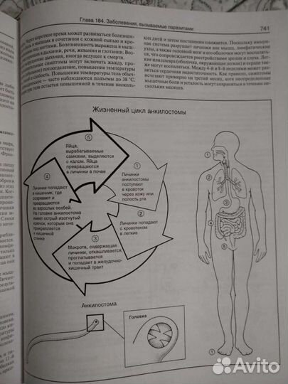 Медицинская энциклопедия