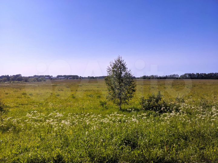 Участок 18,6 га (СНТ, ДНП)