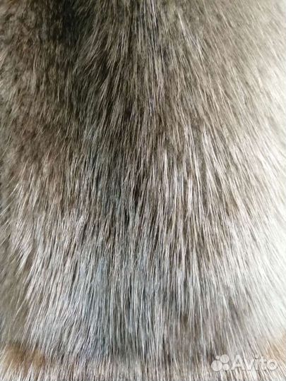Шубка из бобра