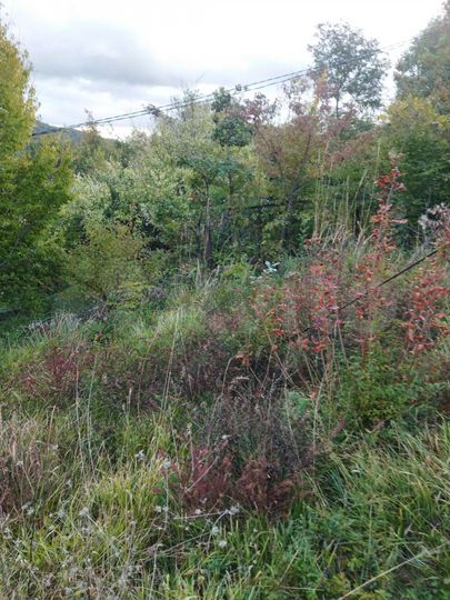 Участок 3,8 сот. (СНТ, ДНП)