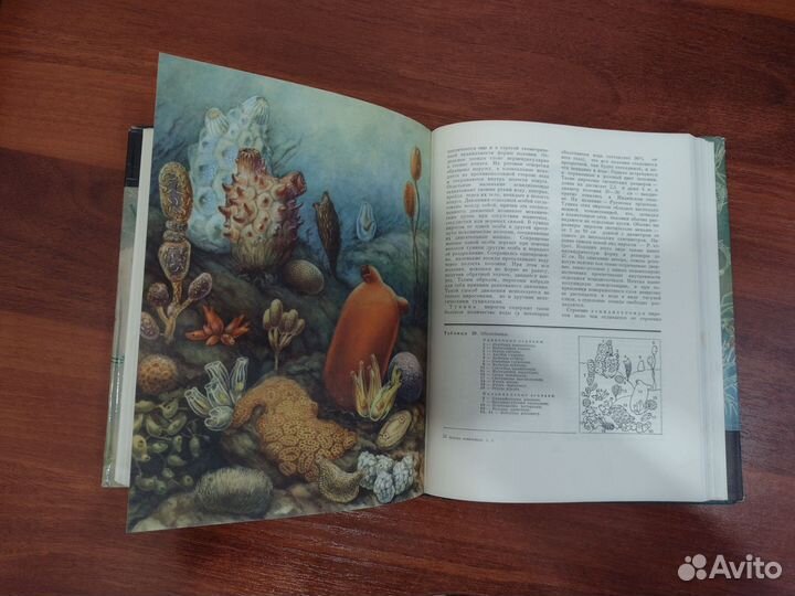 Жизнь животных энциклопедия