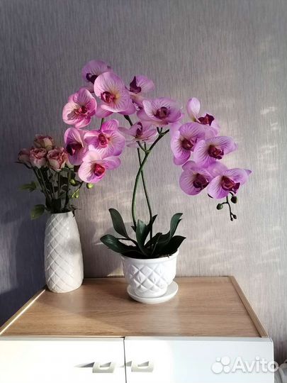 Имитация орхидей в наличии и на заказ