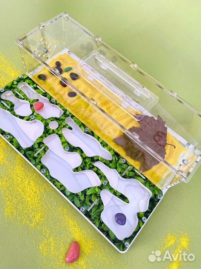 Муравьиная ферма с муравьями