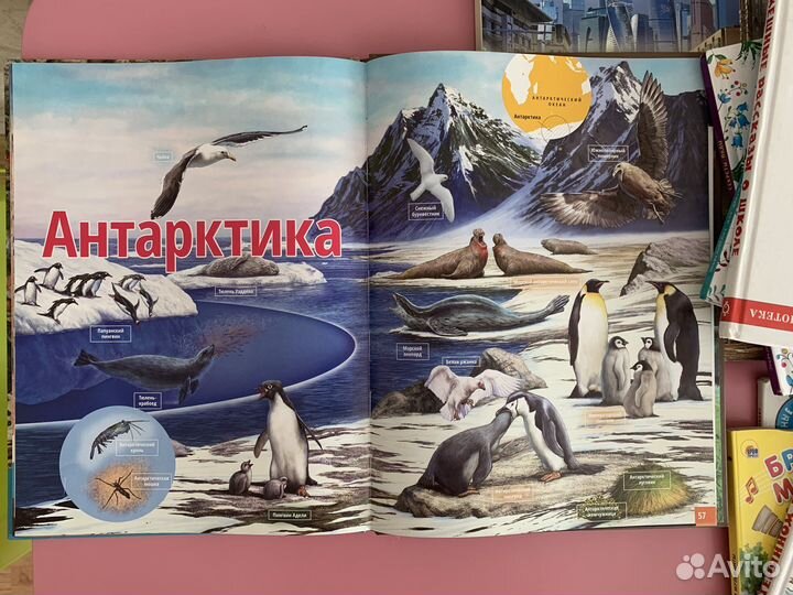 Энциклопедия жизнь животных