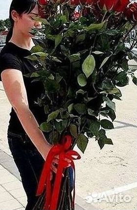 Высокие розы Гигантские розы с доставкой